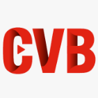 中国视听大数据